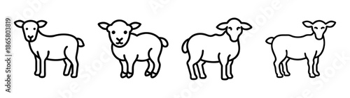 Four line art sheep illustration, farm animals vector drawing, sheep outline graphic design vector
