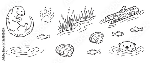 Collection of hand-drawn river otter illustrations with fish, shells, reeds, a log, and paw prints in a cute black and white doodle style for nature and wildlife concepts