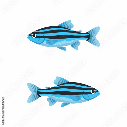 Stunning Zebra Danio Fish in Vibrant Aquarium Setting