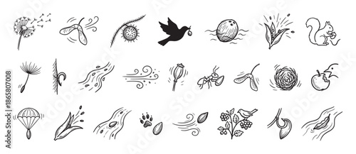 Collection of hand-drawn seed dispersal icons illustrating various methods of plant propagation like wind, water, and animal transport in a simple black and white doodle style