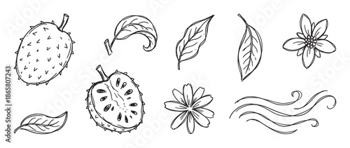 Hand drawn soursop fruit illustration set with whole and half fruit, leaves, and flowers in a black and white doodle sketch style for botanical and food concepts