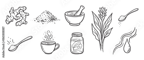 Hand-drawn ginger root and spice icon set showing various forms like powder, tea, plant, and oil in a simple black and white sketch style for culinary and herbal concepts