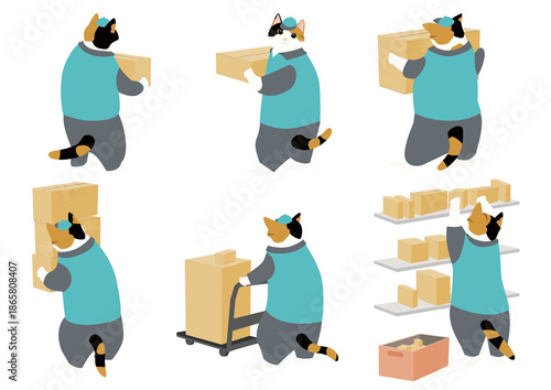 Wallpaper Mural ダンボール箱を運ぶ三毛猫　引越し　宅配 Torontodigital.ca