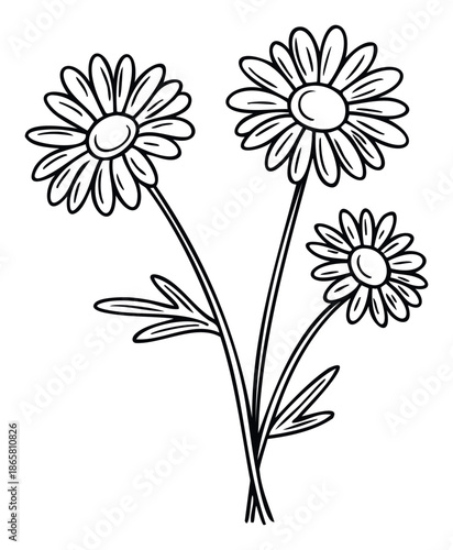 Simple black and white line drawing depicting a charming bouquet of three daisylike flowers with elegant stems and leaves, perfect for coloring pages, craft projects, or natureinspired