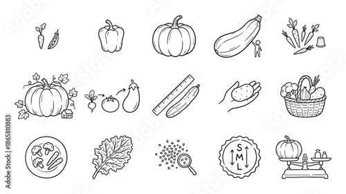 Hand-drawn vegetable and farming icon set showing various produce like pumpkins, carrots, and peppers with concepts of size, measurement, and harvest in a simple black line art style