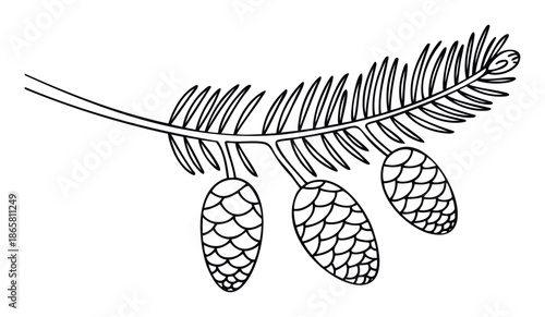 A graphic outline of a coniferous tree branch with hanging pine cones offers a simple natural motif for holiday greeting cards, winter craft projects, and educational materials.
