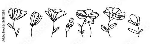 Abstract minimalist line drawing of various wildflowers and blooming plants suitable for contemporary branding, website graphics, social media content, or printable wall decor.