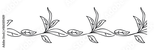 Elegant hand drawn botanical line drawing border with continuous leaves and swirling stems for decorative accents on wedding invitations, greeting cards, or stationary projects