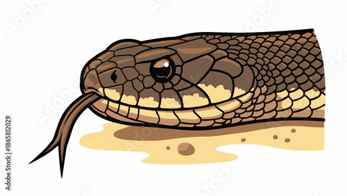 A close-up cartoon of a brown snake's head with a forked tongue flicking out