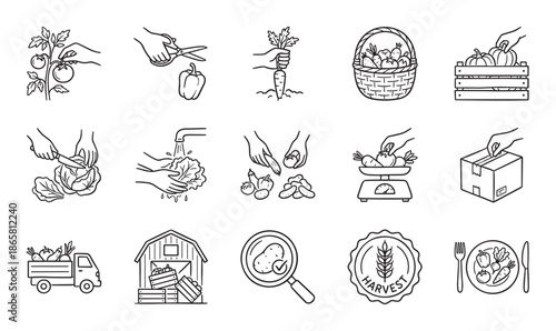 Set of black line art icons showing the farm-to-table process, including harvesting vegetables, packing produce, and serving a healthy meal in a minimalist doodle style