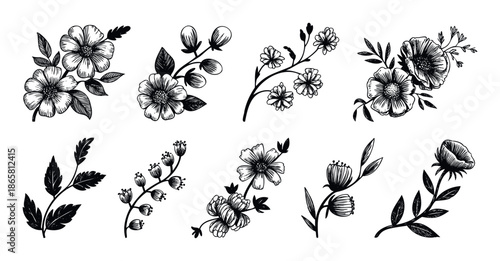 Versatile botanical doodle collection showcasing diverse hand drawn flowers, buds, and foliage for creating natural themed graphic layouts and elegant decorative accents