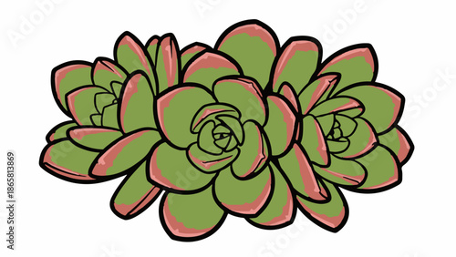 A cluster of stylized green succulents with red-tinged leaf edges, outlined in black