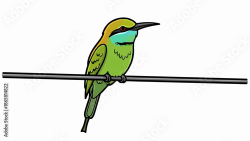 A green bird with a long beak perches on a wire against a white background