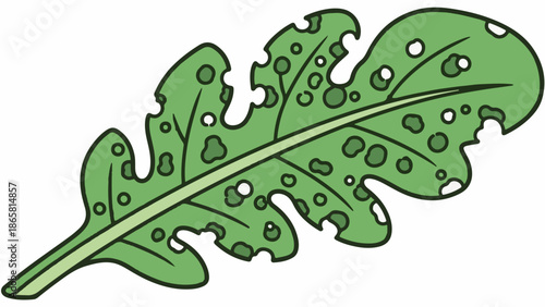 A green leaf with holes and irregular edges, on a white background
