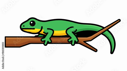 A green lizard with yellow belly rests on a brown tree branch, its body curved and tail extended