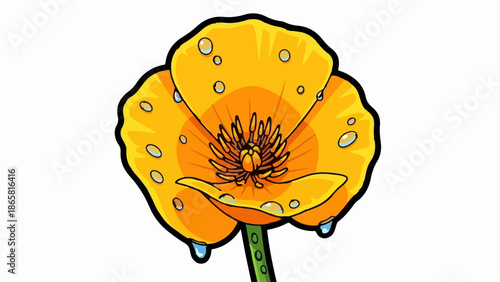 A vibrant orange poppy flower with dew drops, set against a white background