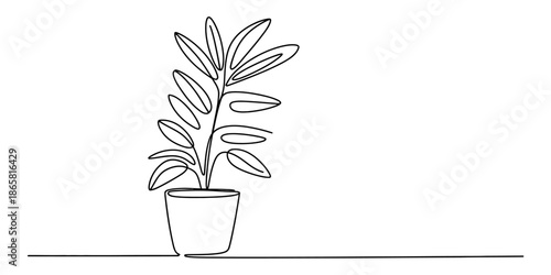 A single continuous line drawing of an elegant indoor houseplant in a pot
