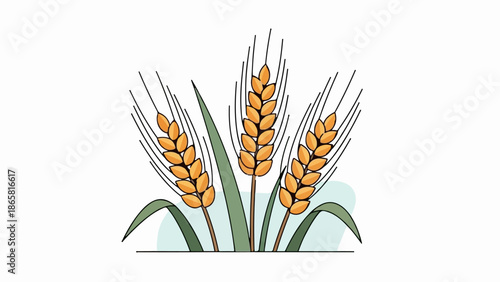 A minimalist illustration of three golden wheat stalks with green leaves