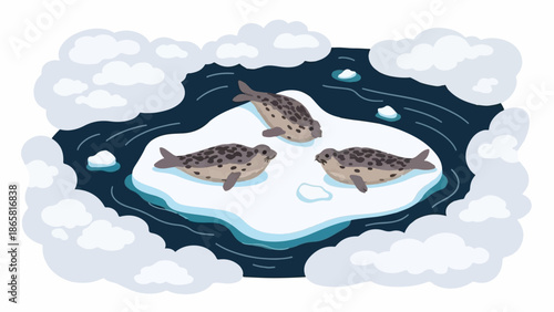 Three spotted seals rest on a floating ice floe in frigid, dark blue water, surrounded by ice chunks