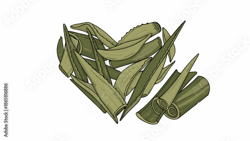 Illustrated heart shape formed by aloe vera leaves and stalks