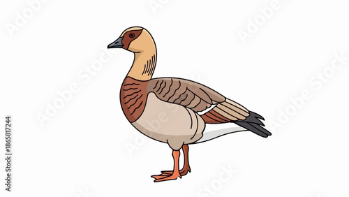 A stylized illustration of a goose with brown and tan plumage