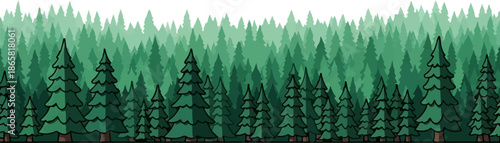 A dense forest of evergreen trees in various shades of green