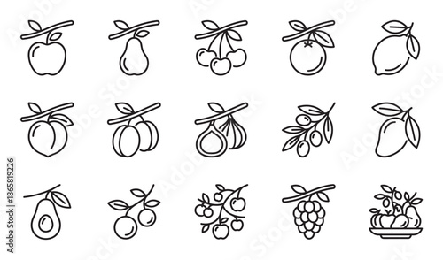 Collection of fruit line icons featuring various healthy organic produce in a simple minimalist black and white outline style, including apple, pear, cherry, orange, and grapes