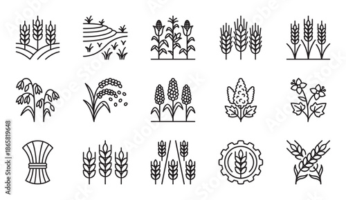 Set of black line icons depicting cereal crops, grains, and agricultural symbols like wheat, corn, rice, and oats in a simple minimalist outline style for farming concepts