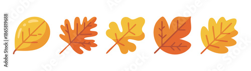 Autumn leaf icon set, cute fall foliage stickers with colorful maple and oak leaves
