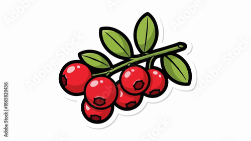 A cluster of ripe red berries with green leaves on a branch