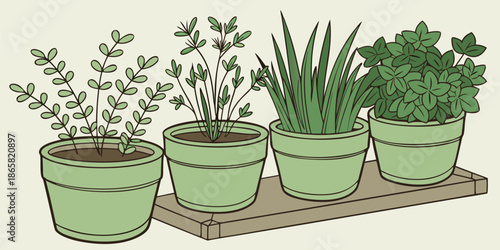 Four green potted herbs or small plants sit closely together on a narrow wooden shelf against a neutral background.