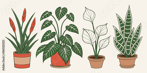 Collection of four potted houseplant illustrations featuring diverse foliage styles and warm terracotta container colors against a light background design