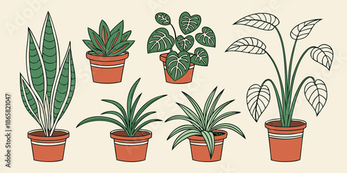 A charming collection of various indoor potted houseplants featuring snake plants and alocasias drawn in a simple retro outline style