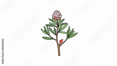 A simple cartoon illustration of a blooming branch with pale pink flowers and green leaves