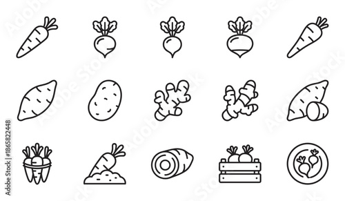 Collection of root vegetable outline icons including carrot, potato, sweet potato, beet, and ginger, presented in a clean, modern, and minimalist black line art style