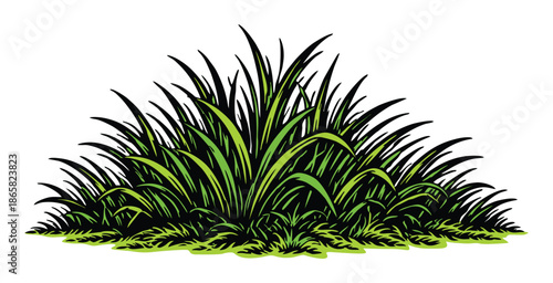 Sharp green grass blades growing in a dense wild clump.