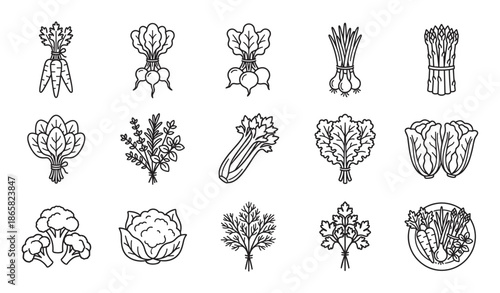 Set of fresh vegetable line art icons featuring various produce like carrots, radish, celery, broccoli, and herbs in a simple black and white minimalist illustration style