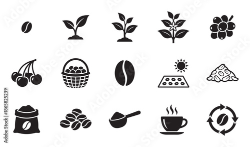 Set of black coffee production icons illustrating the complete life cycle from bean to cup, including farming, harvesting, roasting, and brewing stages in a simple glyph pictogram style