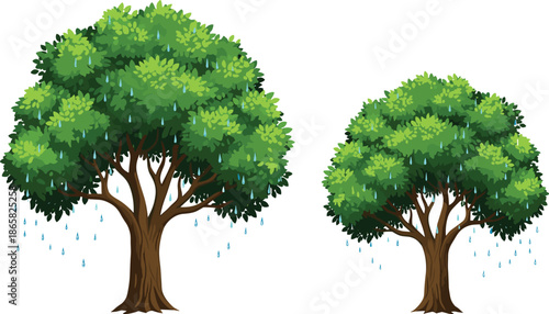 Illustration of two green trees with fresh rainwater drops falling from leaves isolated on white background for nature design