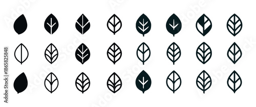 Set of minimalistic leaf icons in various styles and designs