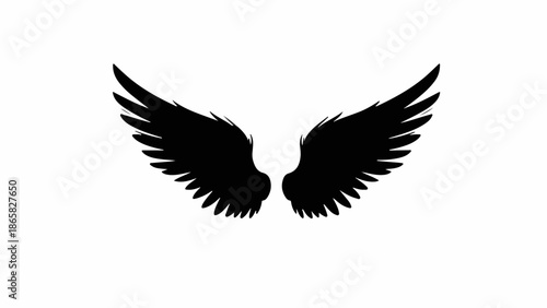 Sleek black angel wings spread wide against a clean white background