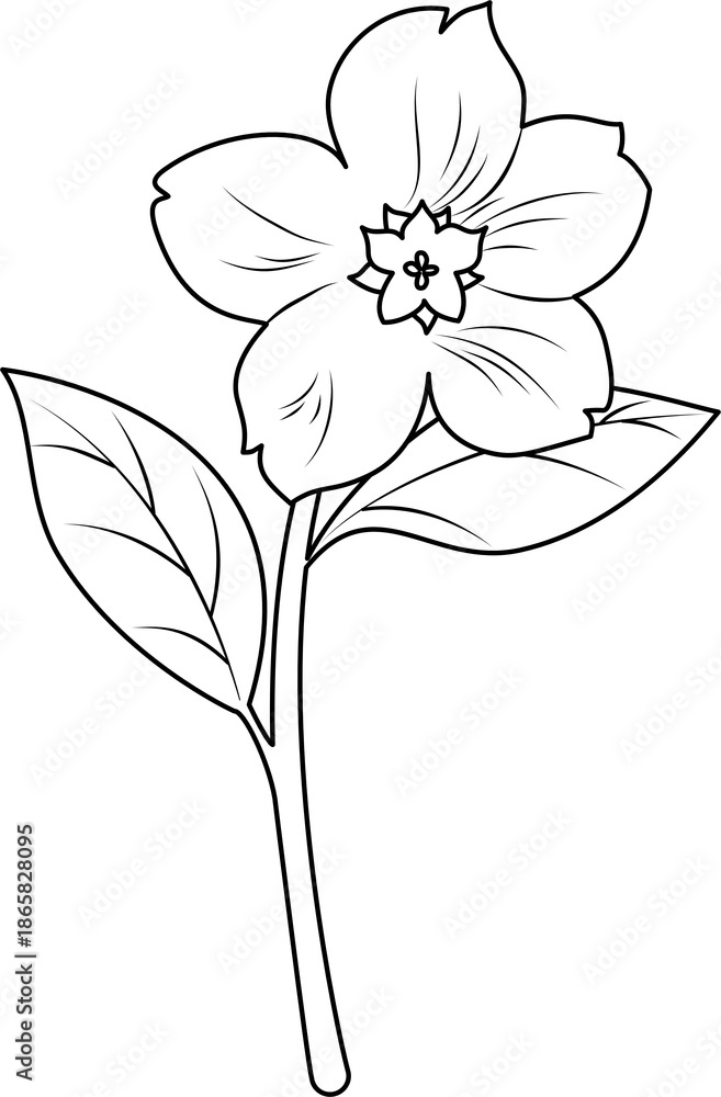 Obraz premium A detailed illustration of a flower with leaves viewed from the front