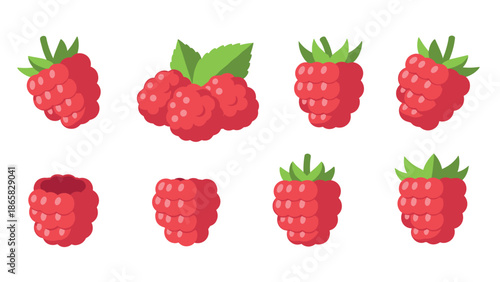 Flat style raspberry collection with varied angles and leaf detail