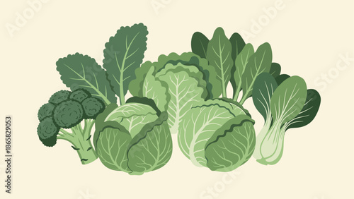 Green vegetables collection: cabbage, lettuce, broccoli, spinach, bok choy