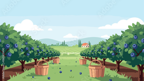 Peaceful blueberry farm with fresh summer harvest and scenic landscape