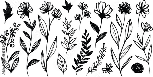 Set of decorative floral design elements. Flat cartoon vector illustration. Illustration of nature flower spring and summer