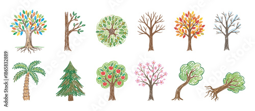 Colorful set of childlike tree illustrations in a crayon sketch style, depicting different species and the four seasons from spring blossoms to winter snow