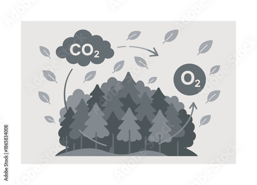 Forest Breathing Process. Forest lung effect. Dense forest canopy breathing in CO? clouds and exhaling O? bubbles; curved motion paths showing exchange.