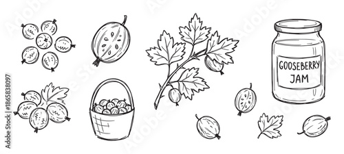 Hand-drawn gooseberry illustrations set with fresh berries, a branch with leaves, a basket, and a jar of homemade jam in a black and white sketch doodle style collection