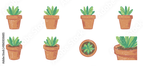 Set of hand-drawn succulent illustrations in terracotta pots showing various angles in a cute, sketchy, and textured artistic style, perfect for decorative design elements